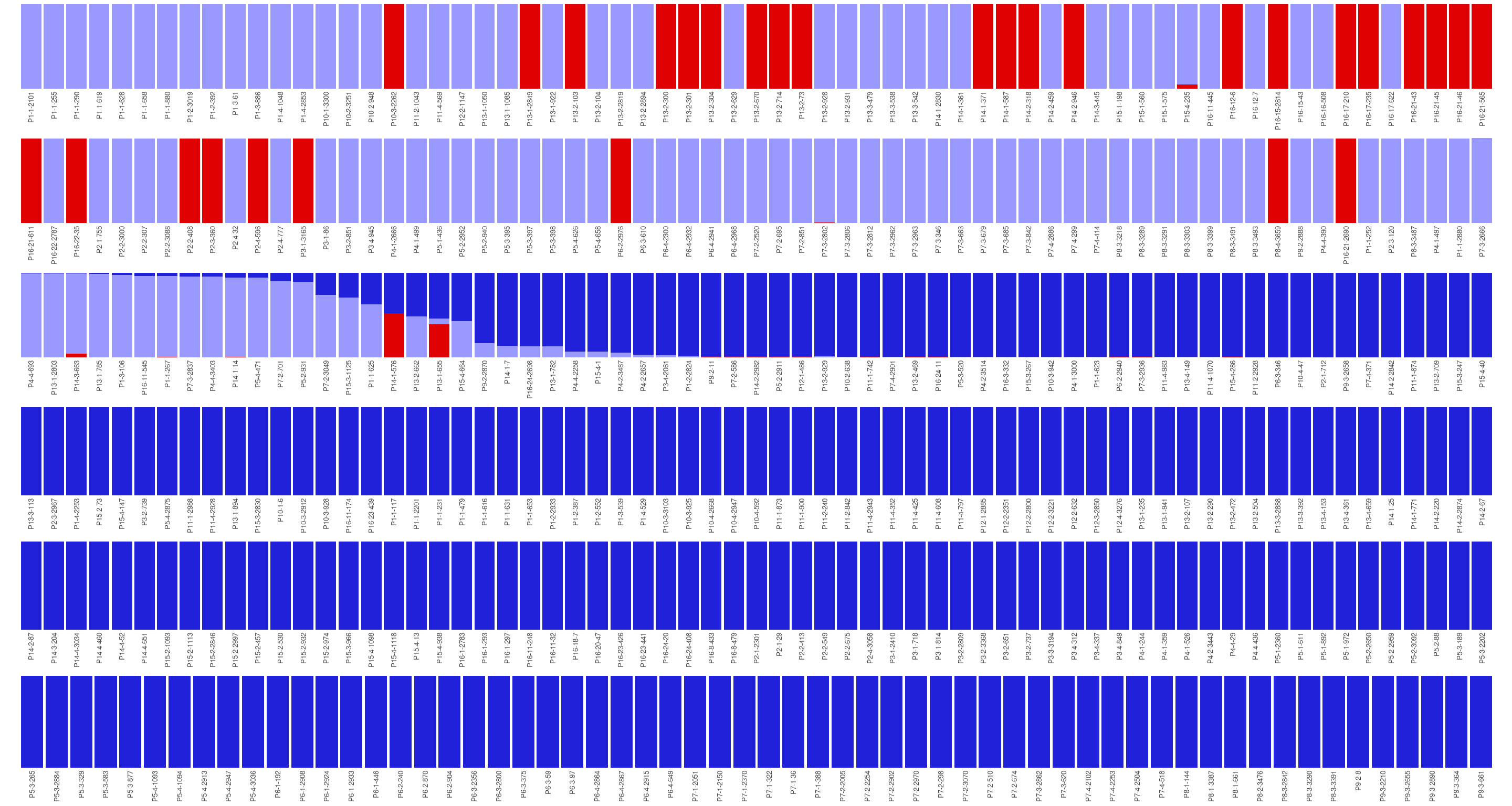 Population structure of Paracou individuals for K = 2. Dark blue is associated with the *S. globulifera* morphotype; whereas light blue is associated with *S. sp1*