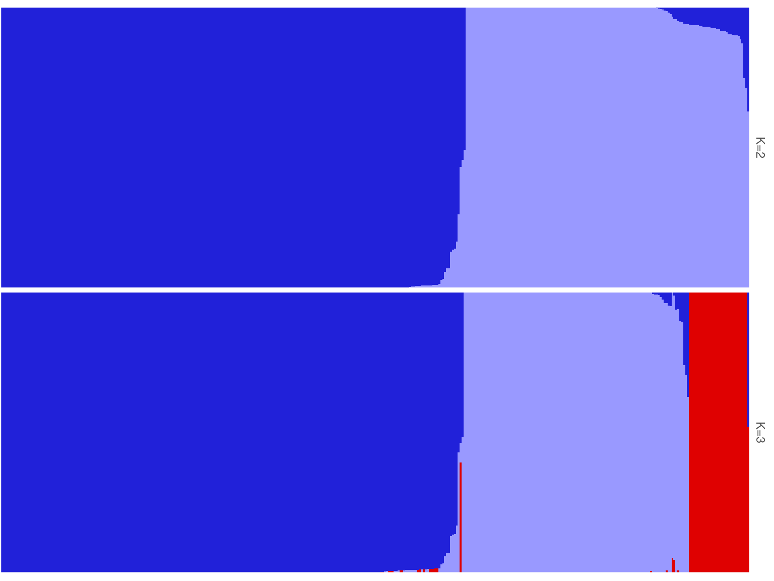 Population structure of Paracou individuals for K=2 and K=3. Dark blue is associated with *S. globulifera* morphotype; whereas light blue is associated with *S. sp1*; and red is associated with a subgroup within the *S. globulifera* morphotype.