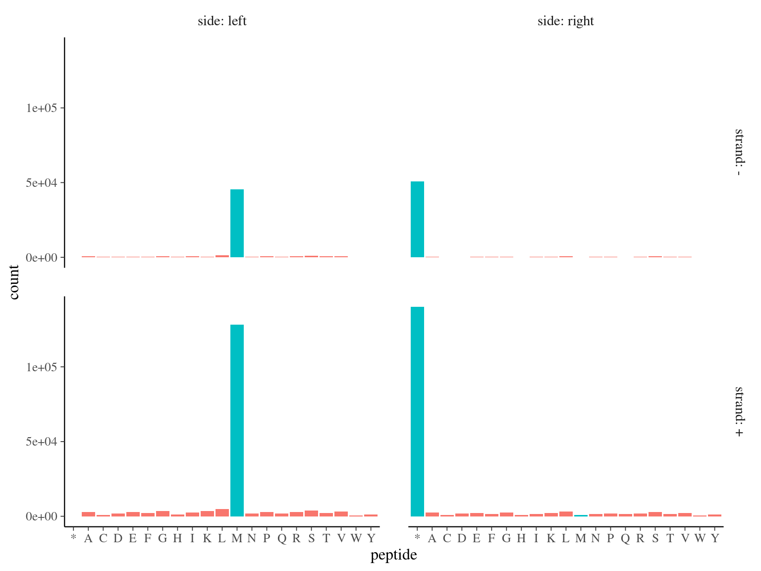 Open Reading Frames left and right peptides.