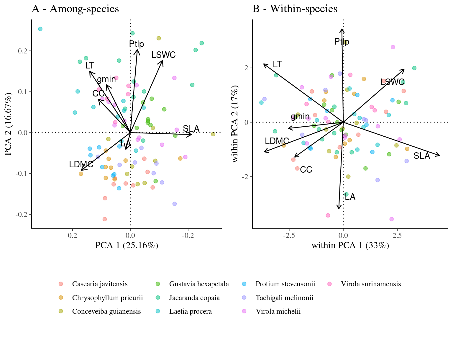 Among (A) and Within-species (B) principal component analysis (A - PCA and B - wPCA) of leaf traits across individuals in 10 Neotropical tree species. Circle colors indicate the species. Leaf traits include specific leaf area (SLA), leaf dry matter content (LDMC), leaf fresh thickness (LT), leaf area (LA) leaf chlorophyll content (CC), leaf saturated water content (LSWC), leaf water potential at which leaf cells lose turgor (Ptlp), and leaf minimum conductance (Gmin).