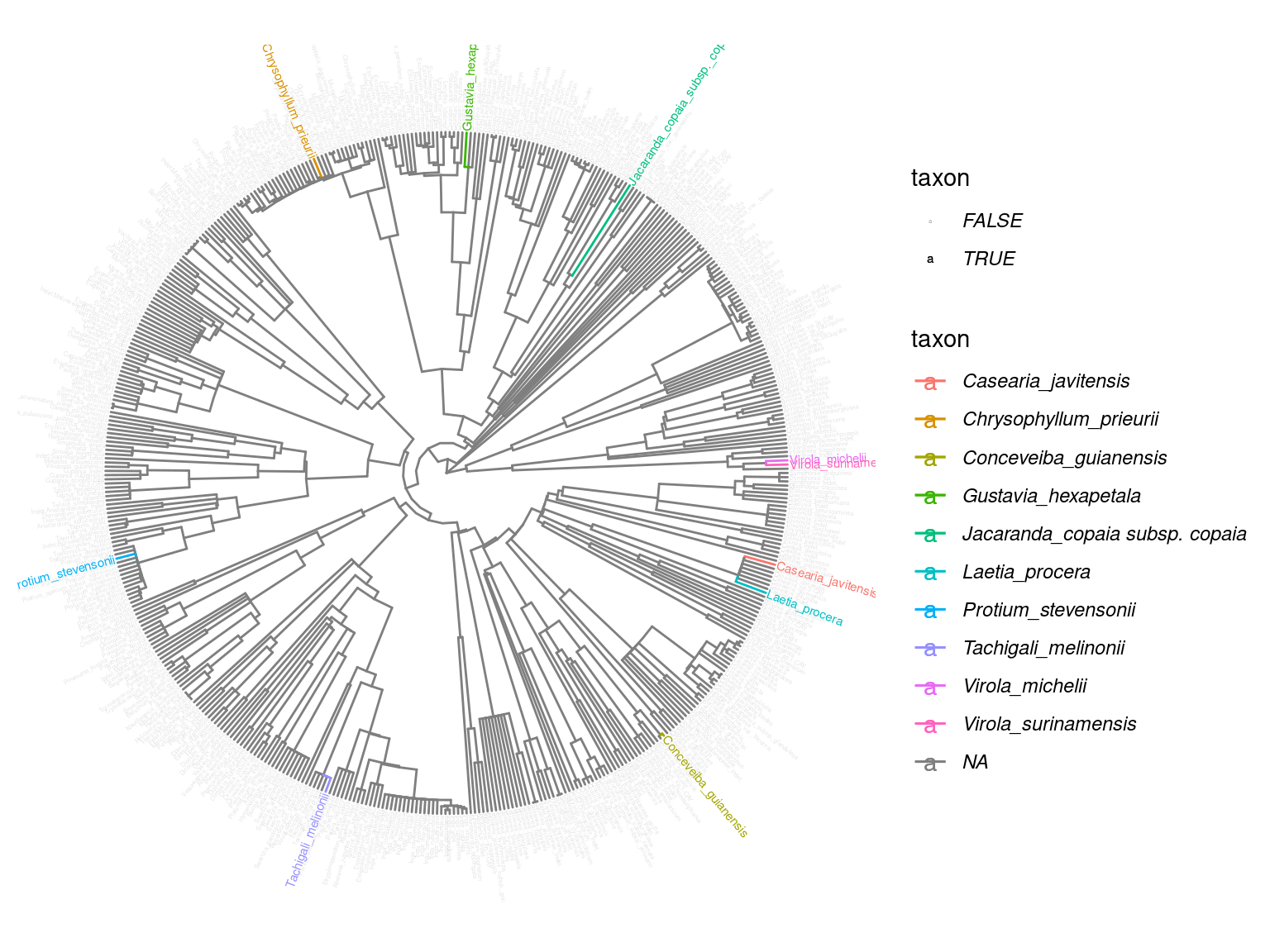 Selected species phylogeny.