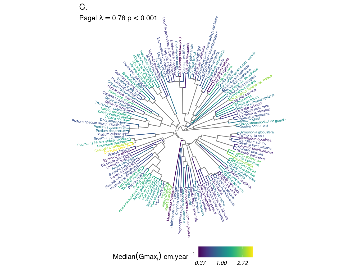 Distribution of species growth potential (Gmax, cm/yr) in the phylogeny.