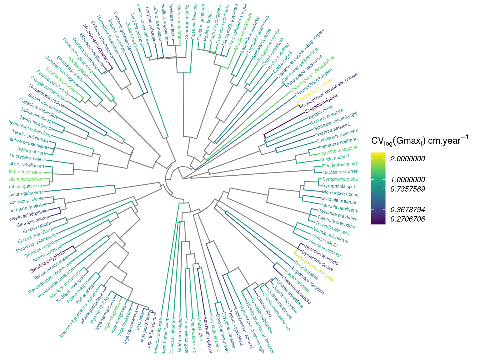 Distribution of intraspecifig growth variability (IGV, cm/yr) in the phylogeny.