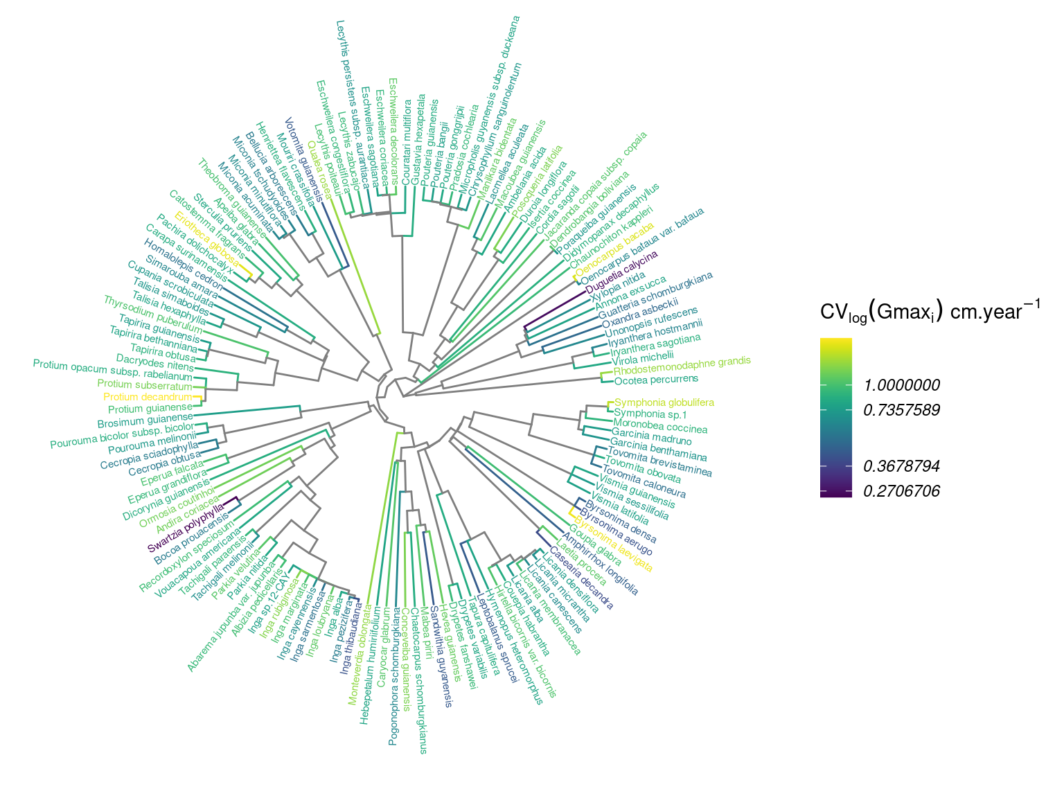 Distribution of intraspecifig growth variability (IGV, cm/yr) in the phylogeny.