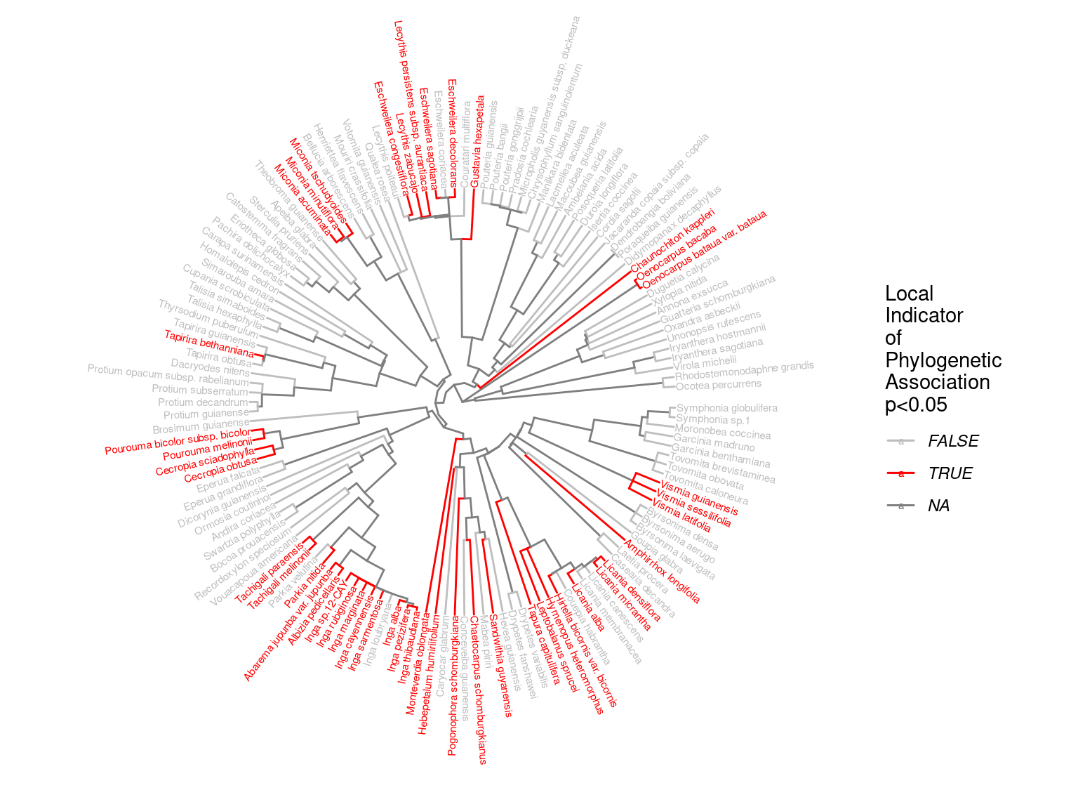 Local phylogenetic associations of of species growth potential (Gmax, cm/yr) among taxa in the phylogeny.