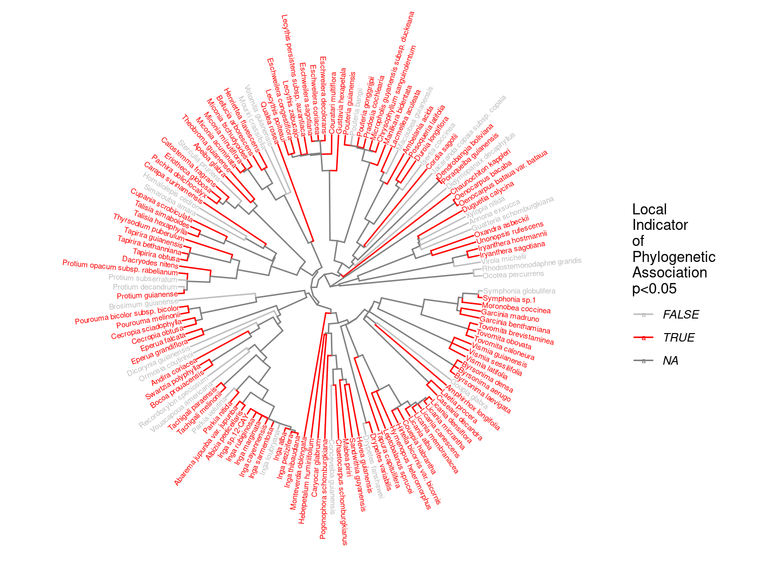 Local phylogenetic associations of of species growth potential (Gmax, cm/yr) among taxa in the phylogeny.