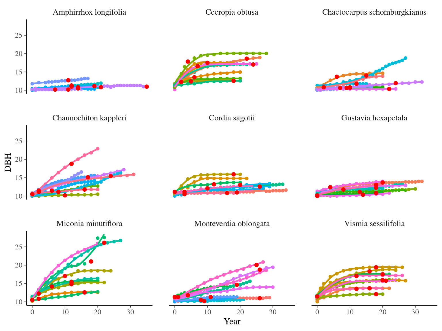 Tree diameter trajectories in training data. Color represent individuals and the red point the data used for evaluation.