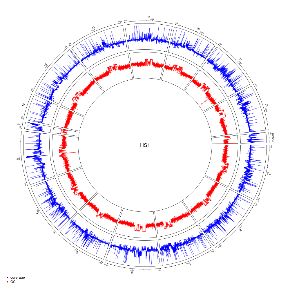 Genome coverage and GC-content on a 10-kb windows for the HS1 haplotype (scaffolds > 2-Mb).