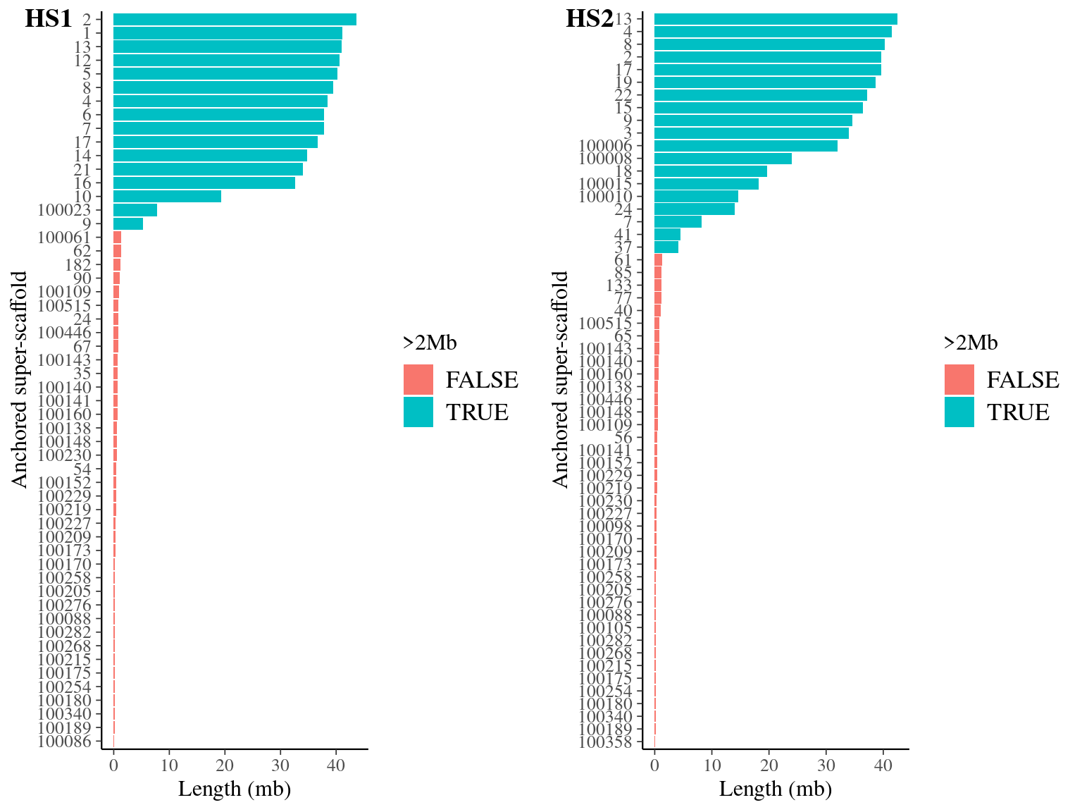 Anchored scaffolds size-distribution for haplotypes HS1 and HS2 in Angela's genome.